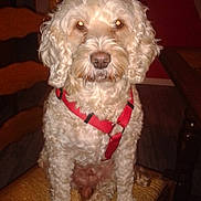 Praline participe au concours pour gagner de l'argent avec cette photo :