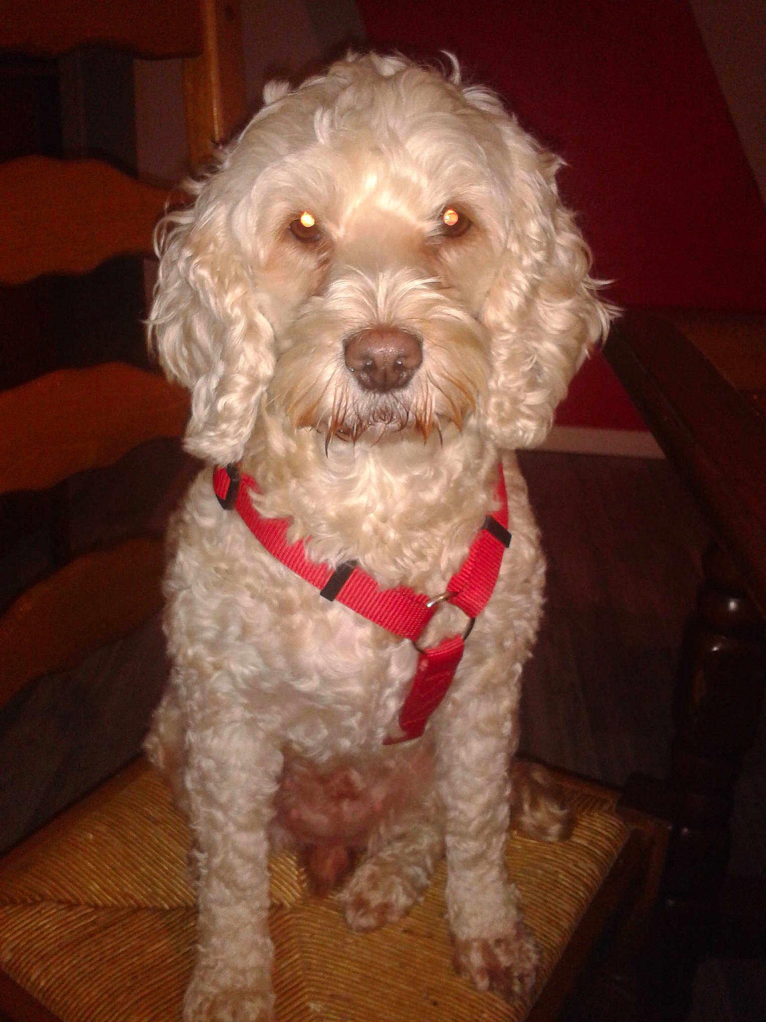 Praline