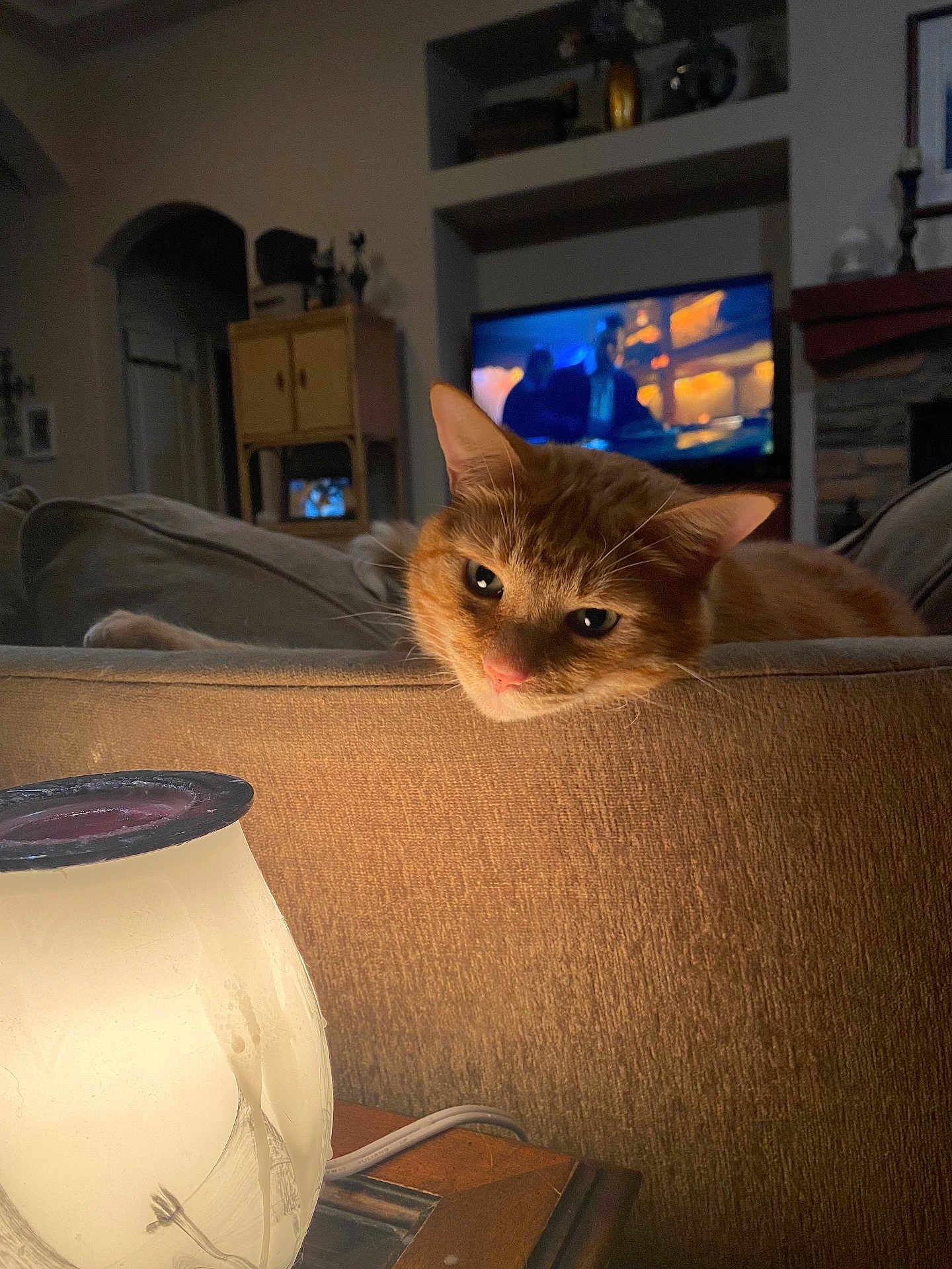Archie is registered to the contest to win money with this photo: cat, ginger_cat, orange_cat, pet, sofa, couch, living_room, lamp, television, tv_screen, cozy, indoor, evening, relaxed, whiskers, close_up, face, furniture, home, ambient_lighting