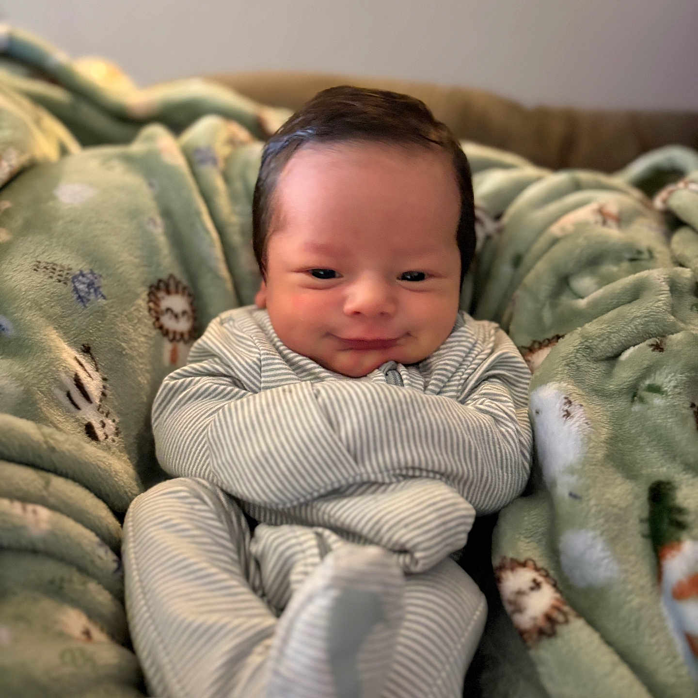 Almonte is registered to the contest to win money with this photo: baby, bed, blanket, bodypart, clothing, couch, face, finger, furniture, hand, happy, head, knitwear, newborn, person, photography, portrait, quilt, smile, sweater
