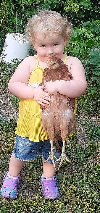 Ocean is registered to the contest to win money with this photo: child, companion_dog, fawn, fur, grass, joy, livestock, people_in_nature, person, plant, rabbit, reptile, shorts, smile, sporting_group, summer, terrestrial_animal, thigh, thumb, toddler