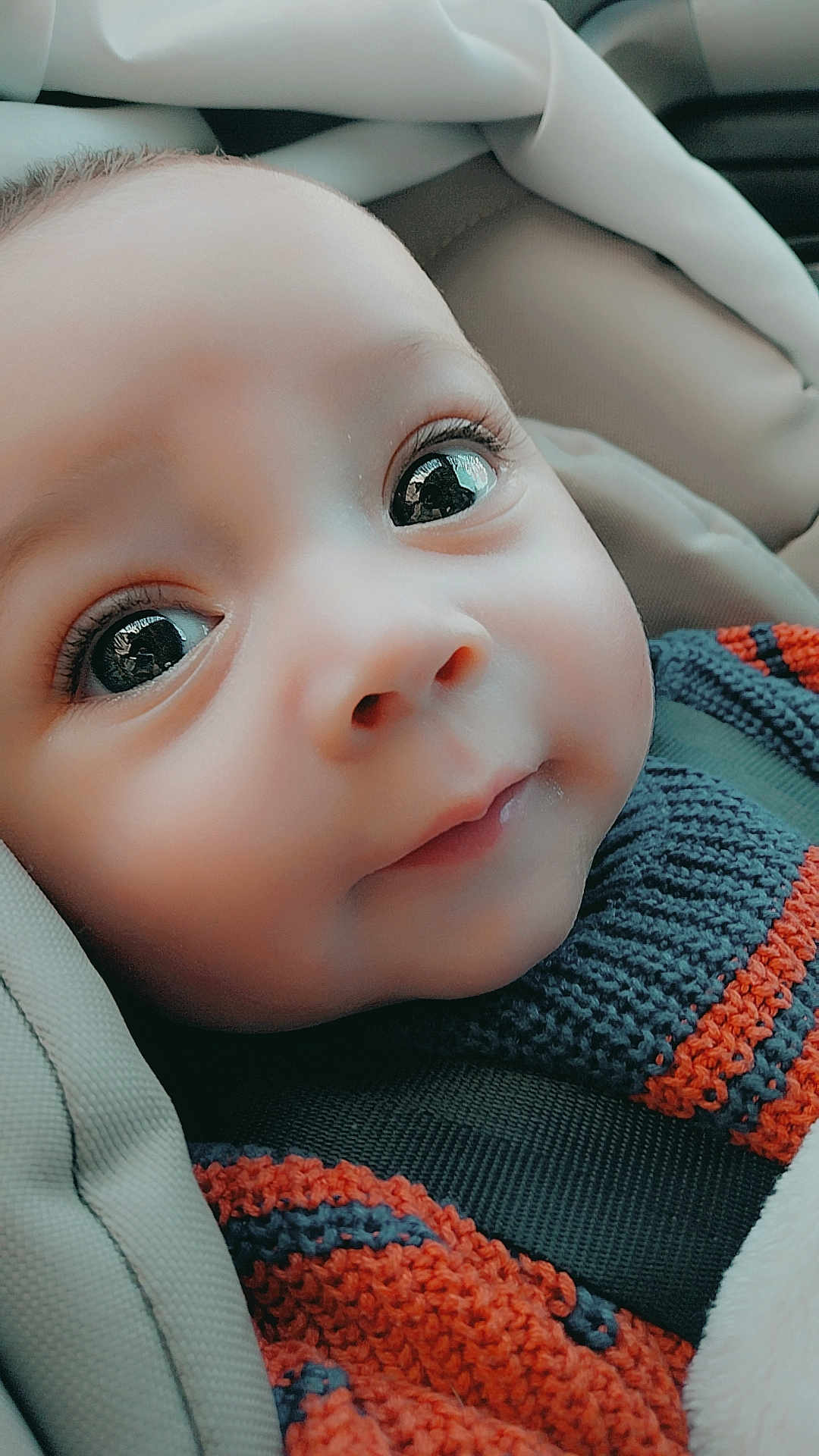 Namron a rejoint le concours — aidez-le/la à gagner de superbes lots ! baby, close_up, face, eyes, knit_sweater, car_seat, child, infant, curious, soft_light, reflection, warm_clothing, portrait, cute, head, skin, young_child, seatbelt, indoors, cozy
