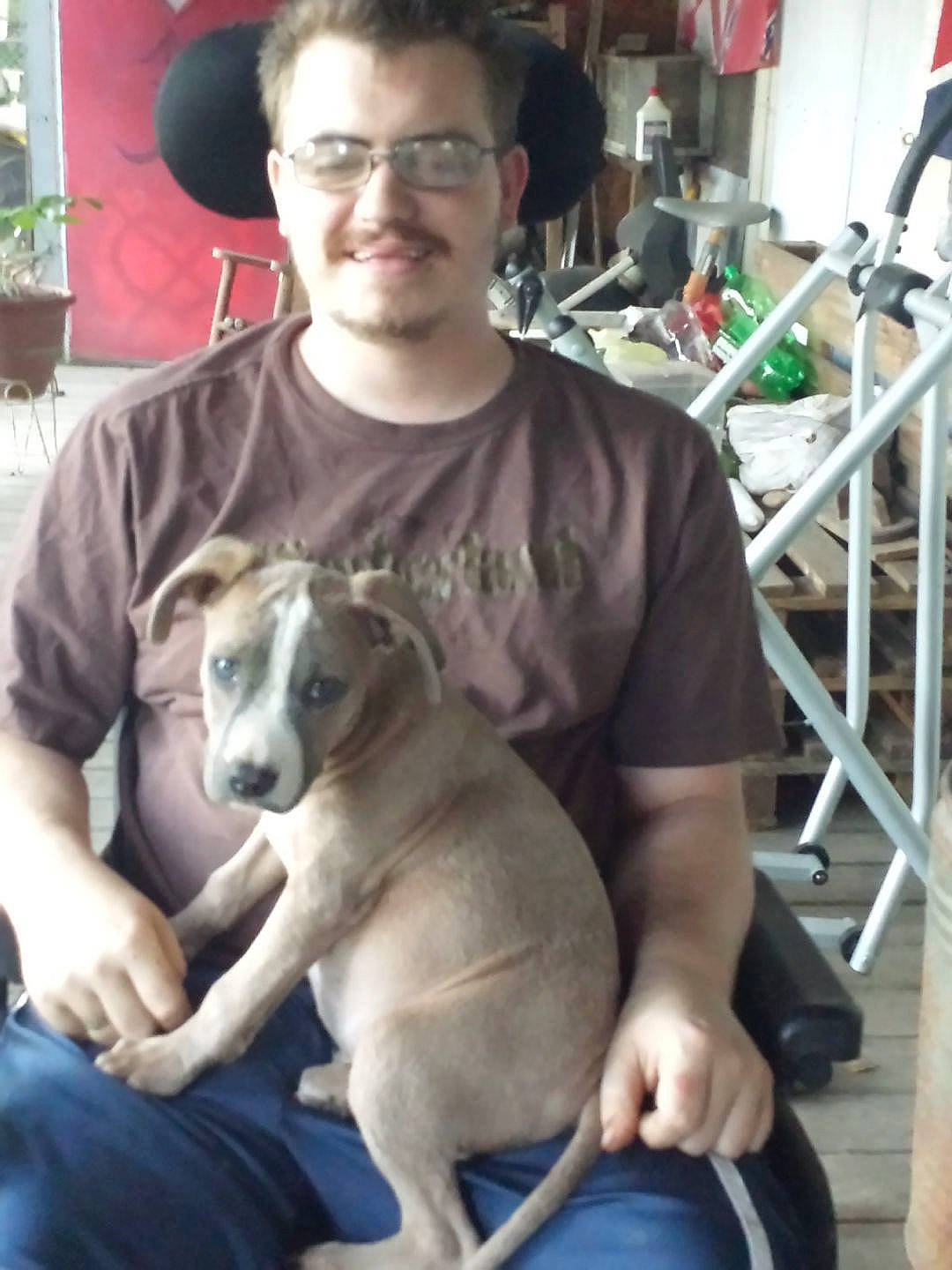 Bama joined the competition — help win amazing prizes! canidae, carnivore, chair, comfort, companion_dog, dog, dog_breed, eyewear, fawn, flowerpot, glasses, houseplant, lap, plant, sighthound, sitting, smile, snout, sporting_group, working_animal