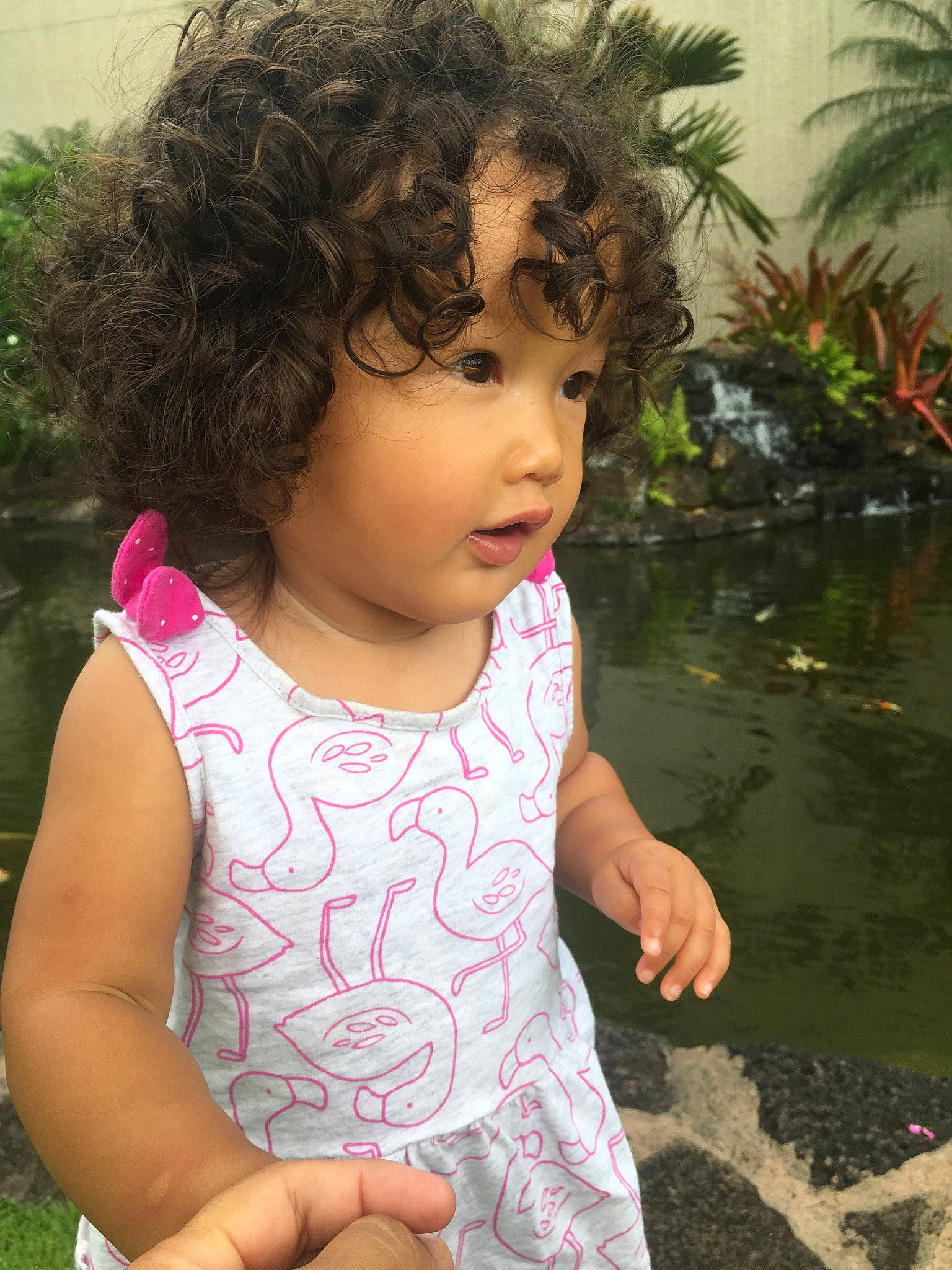 Majesty is registered to the contest to win money with this photo: baby_toddler_clothing, botany, cheek, chin, face, facial_expression, finger, gesture, hand, happy, head, leaf, lip, nose, organ, person, pink, skin, sleeve, toddler