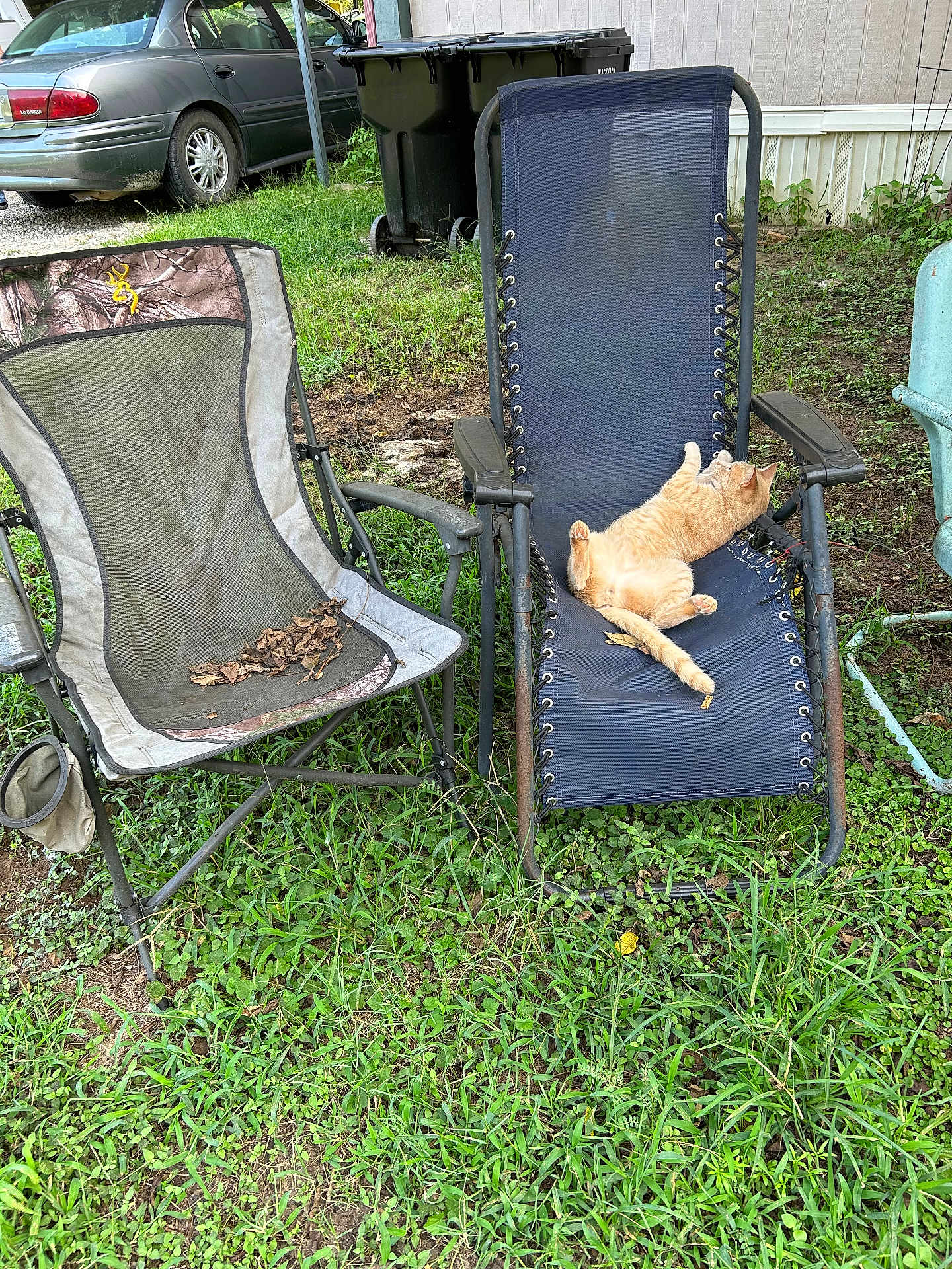 Mr Shrimpy is registered to the contest to win money with this photo: animal, backyard, car, casual, cat, daytime, empty_chair, feline, folding_chair, grass, greenery, lawn_chair, nature, orange_cat, outdoor, pet, relaxing, rustic, seat, trash_bin