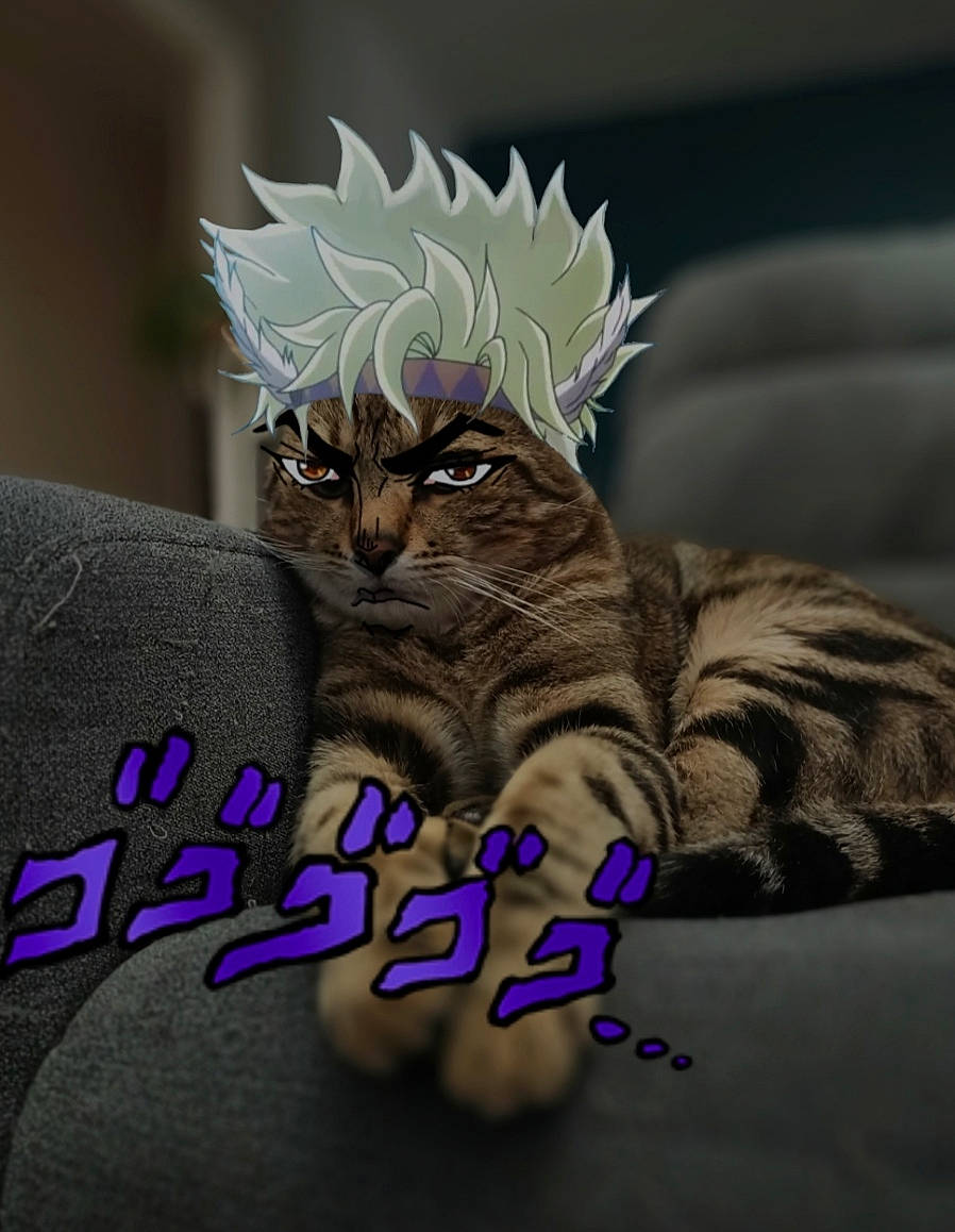 Symonss a rejoint le concours — aidez-le/la à gagner de superbes lots ! big_cats, carnivore, cat, comfort, couch, electric_blue, fawn, felidae, font, fur, gesture, paw, purple, small_to_medium_sized_cats, snout, tail, textile, toy, whiskers, wildlife