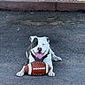 dog, american_football, asphalt, outdoor, pet, animal, playful, tongue_out, black_and_white, lying_down, happy, sports, ball, canine, closeup, summer, sunlight, pavement, collar, resting
