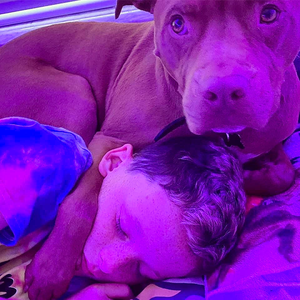 Oliver joined the competition — help win amazing prizes! blue, comfort, companion_dog, dog_breed, electric_blue, fur, happy, light, linens, livestock, magenta, organism, photograph, pink, purple, selfie, snapshot, terrestrial_animal, violet, working_animal