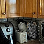 cat, kitchen, toaster, coffee_pod_holder, countertop, wooden_cabinets, black_and_white_cat, appliance, domestic, curious, indoor, small_appliance, kitchen_utensil, spoon, yellow_lid, coffee_maker, tile_backsplash, electrical_outlet, black_appliance, corner