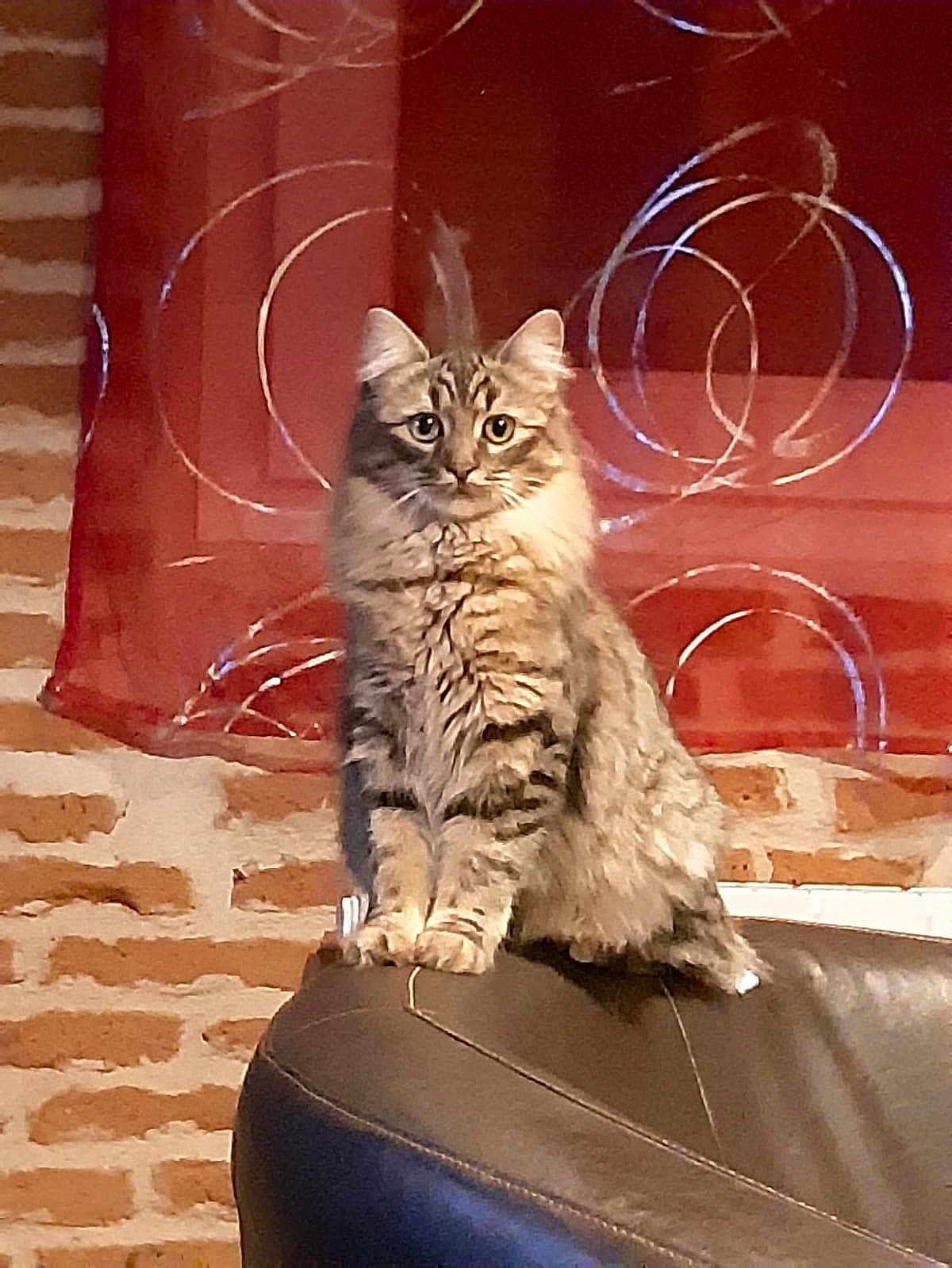 Lili