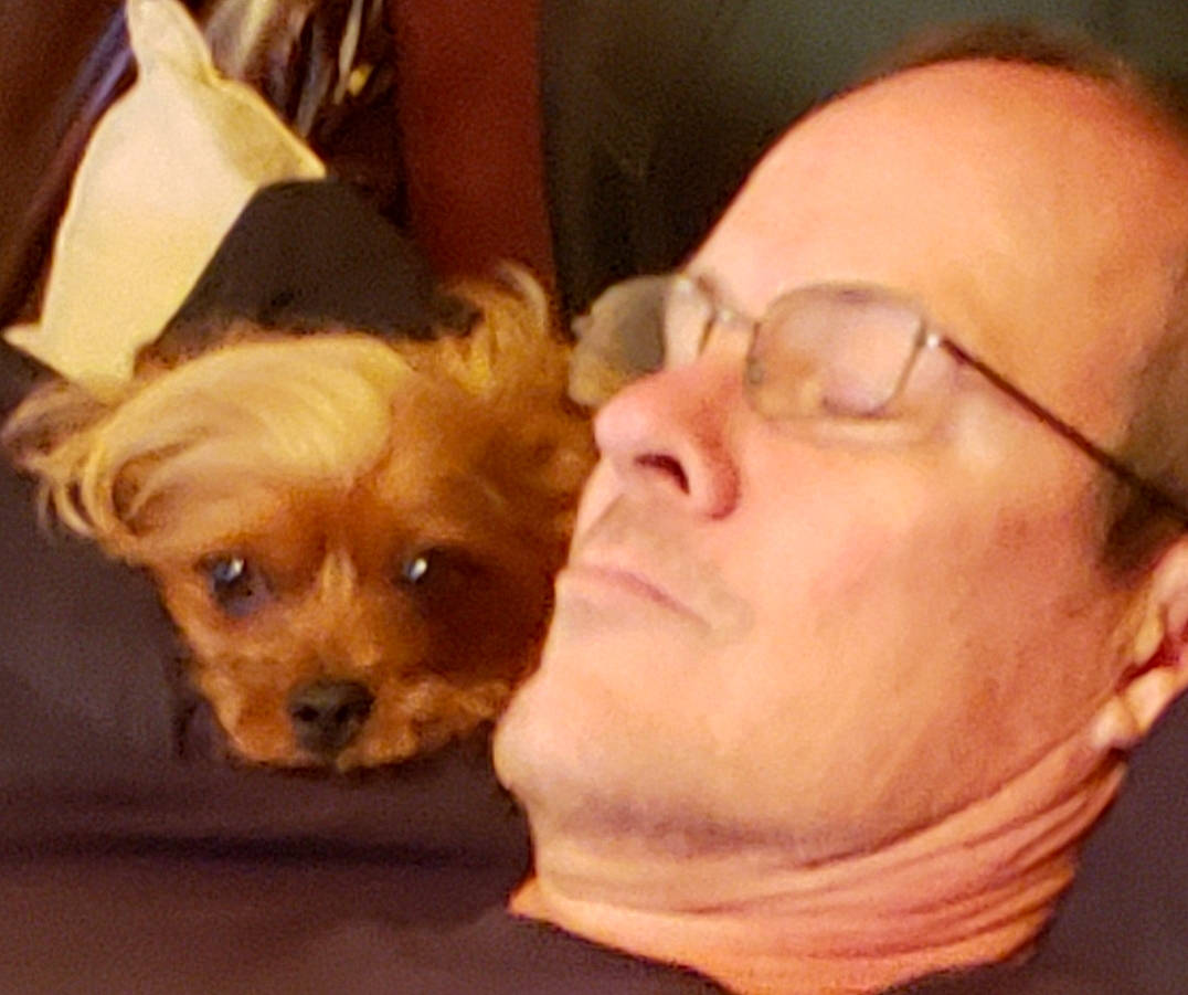 Coconut joined the competition — help win amazing prizes! canidae, carnivore, chin, companion_dog, dog, dog_breed, ear, eye, face, glasses, head, human, morkie, mouth, nose, puppy, puppy_love, selfie, skin, snout