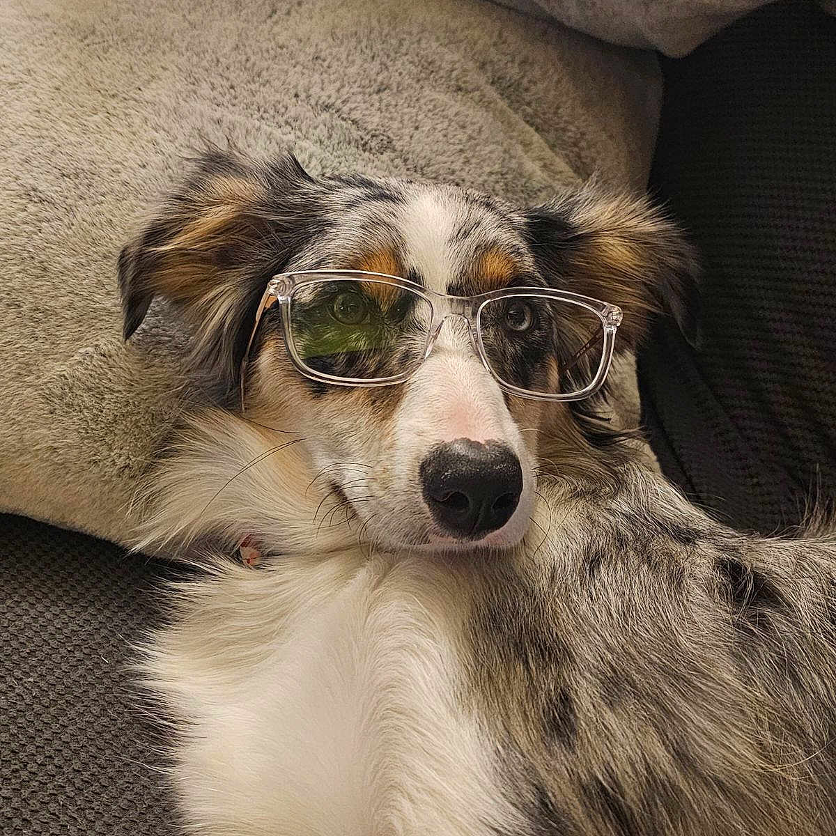 Oakley