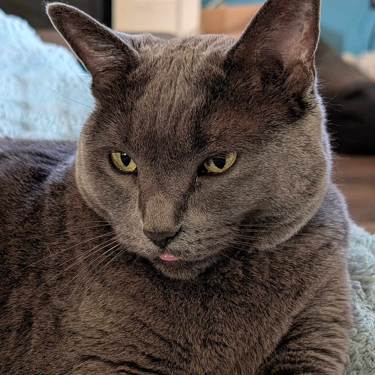 Winnie