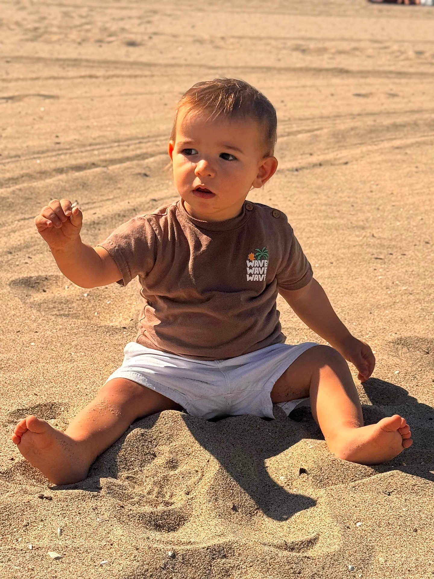 Lino participe au concours pour gagner de l'argent avec cette photo : toddler, child, beach, sand, sitting, sunlight, shorts, tshirt, barefoot, outdoor, sunny, young_child, casual_clothing, summer, playful, curious, nature, shadow, daytime, portrait