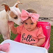 Emily joined the competition — help win amazing prizes! baby, infant, child, dog, pet, pink_bow, pink_clothing, high_chair, seat, toy, grass, outdoor, cute, sniffing, affection, portrait, face, head, playtime, apparel