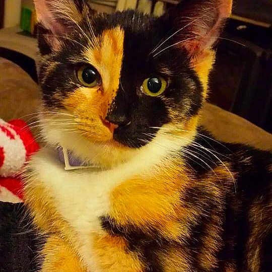 Egg joined the competition — help win amazing prizes!