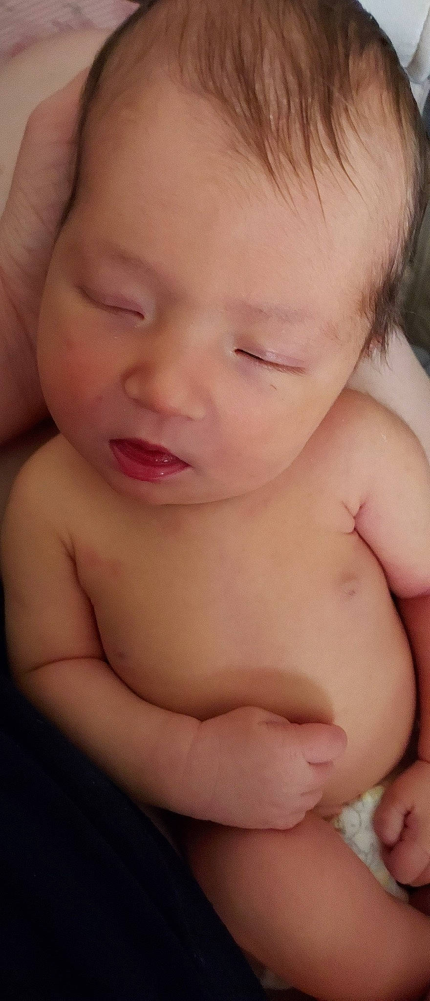 Penelope joined the competition — help win amazing prizes! arm, baby, cheek, chin, ear, eye, eyebrow, eyelash, face, facial_expression, forehead, hand, head, human_body, lip, mouth, muscle, neck, nose, person