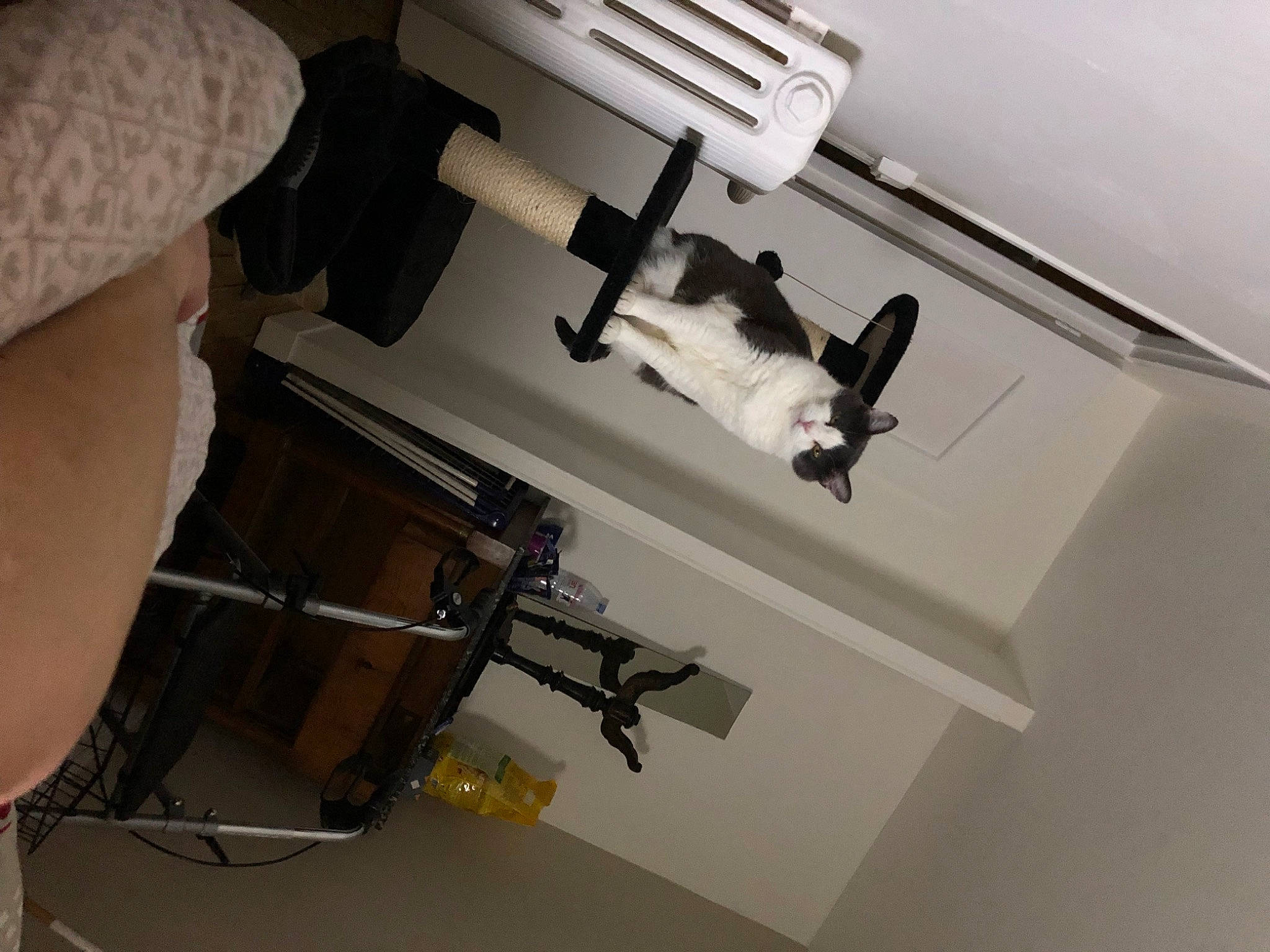 Bouly participe au concours pour gagner de l'argent avec cette photo : art, cap, design, hat, machine, machine_tool, microscope, office_equipment, office_supplies, paper, room, safety_glove, service, technology, wood