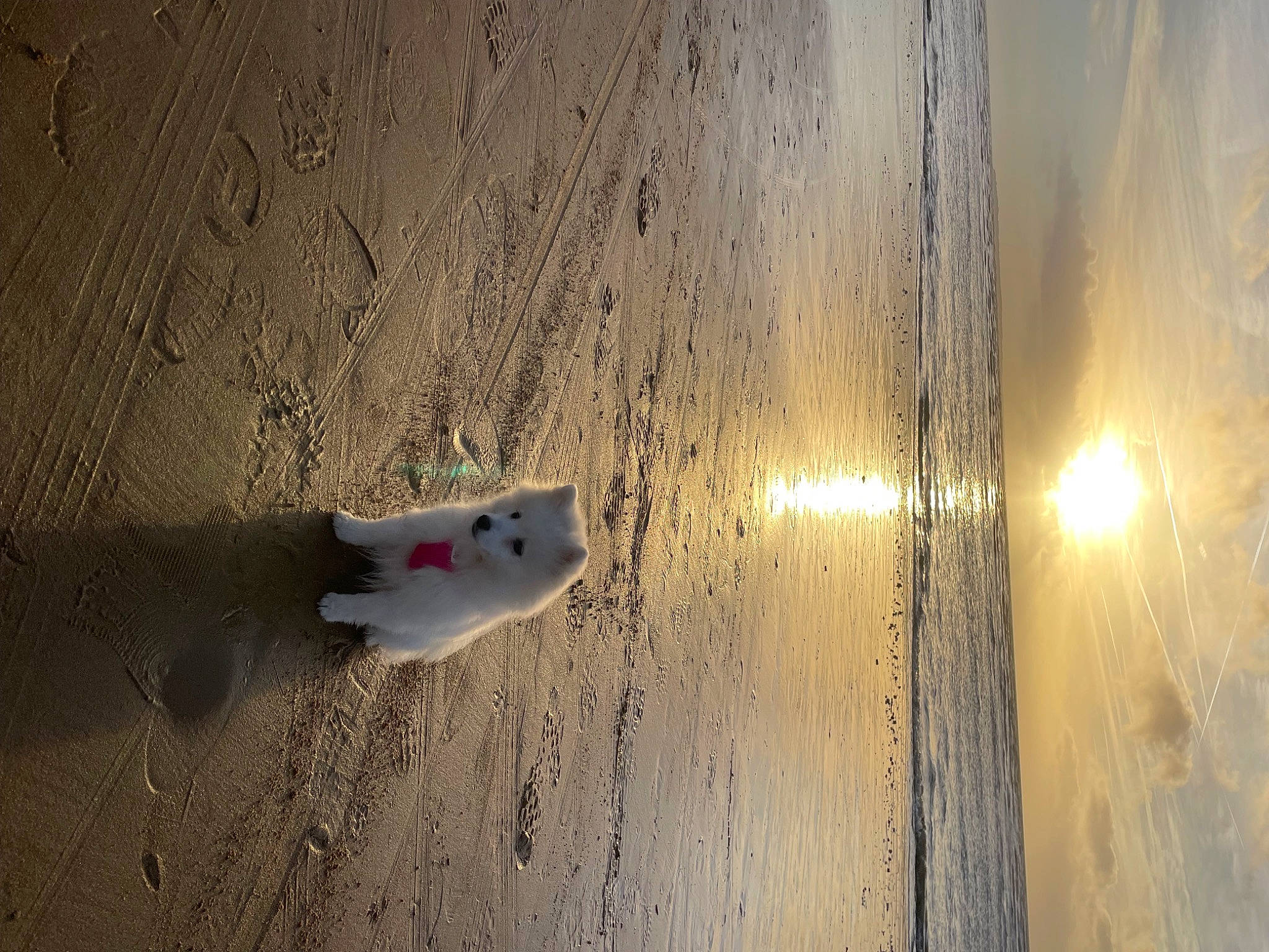 Snow participe au concours pour gagner de l'argent avec cette photo : beach, concrete, flooring, hardwood, landscape, lens_flare, light, plaster, plywood, reflection, sand, shadow, sky, space, stain, tints_and_shades, visual_arts, water, wood, wood_stain