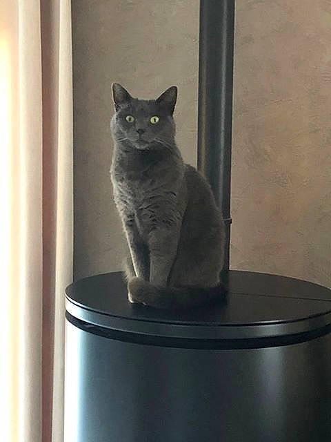 Diana