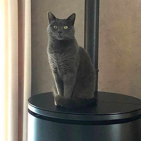 Diana