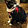Roxy
