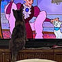 cat, television, animation, cartoon, indoor, furniture, watching, curious, pet, white_cat, older_woman, purple_clothing, living_room, wooden_cabinet, screen, domestic_cat, entertainment, household, animal, interaction