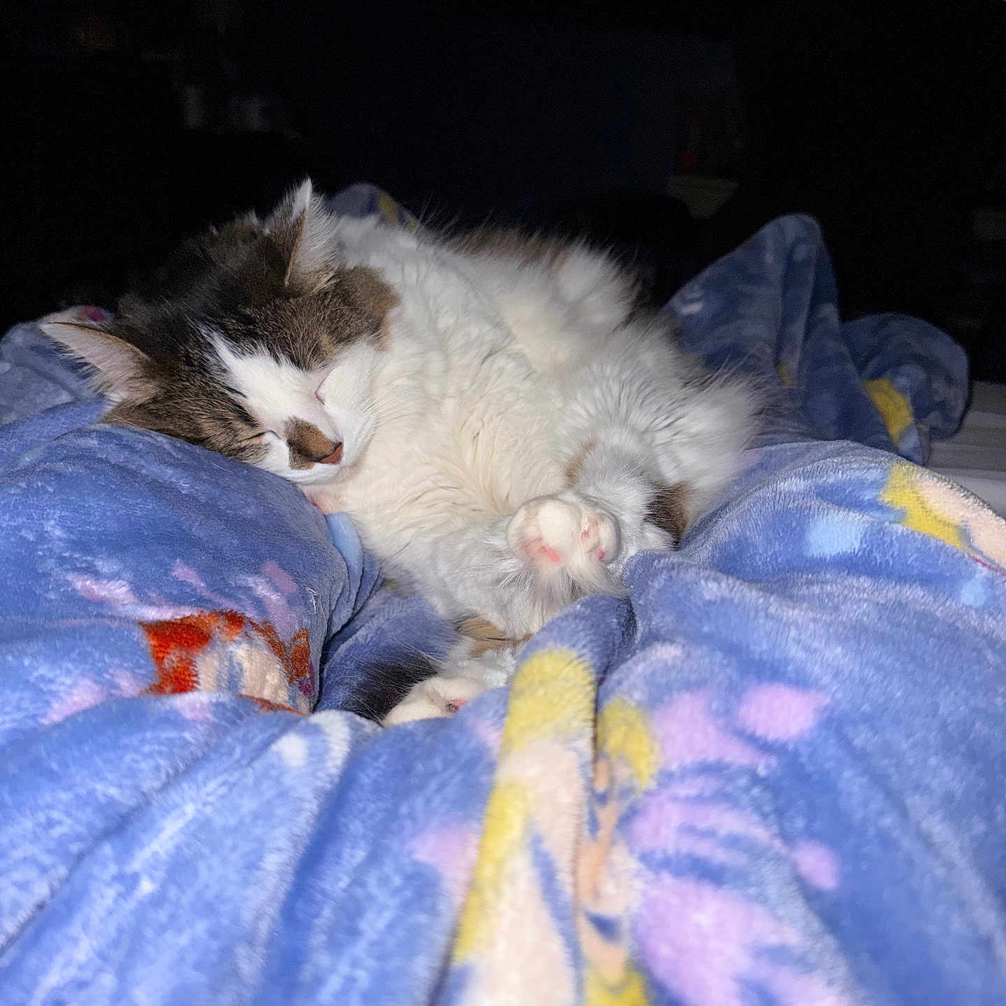 Pepper