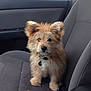 Biscuit joined the competition — help win amazing prizes!