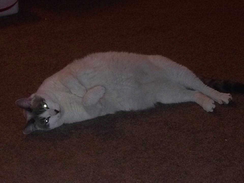 Casper