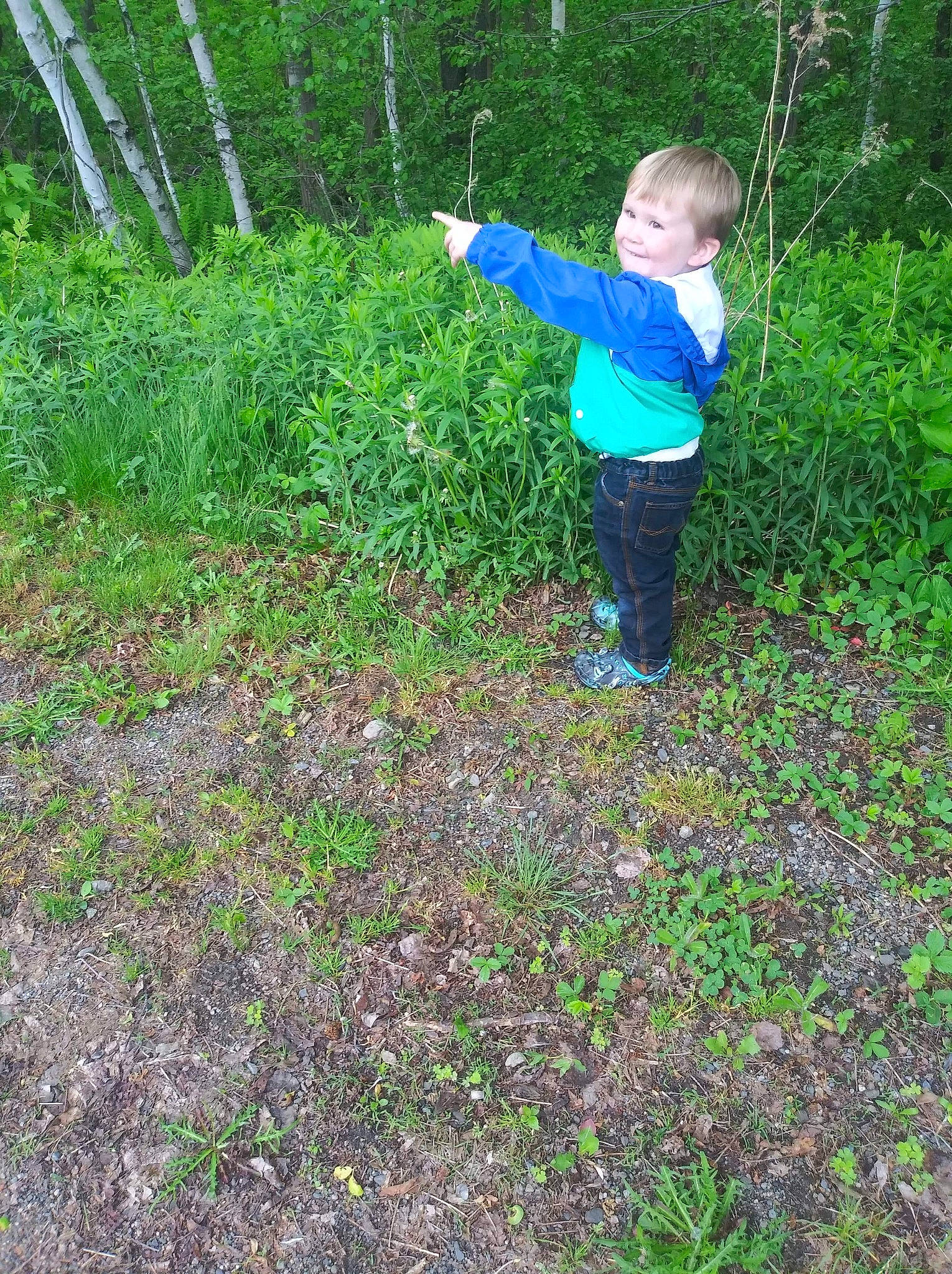 Louis joined the competition — help win amazing prizes! grass, grass_family, groundcover, joy, person, plant, plant_community, soil