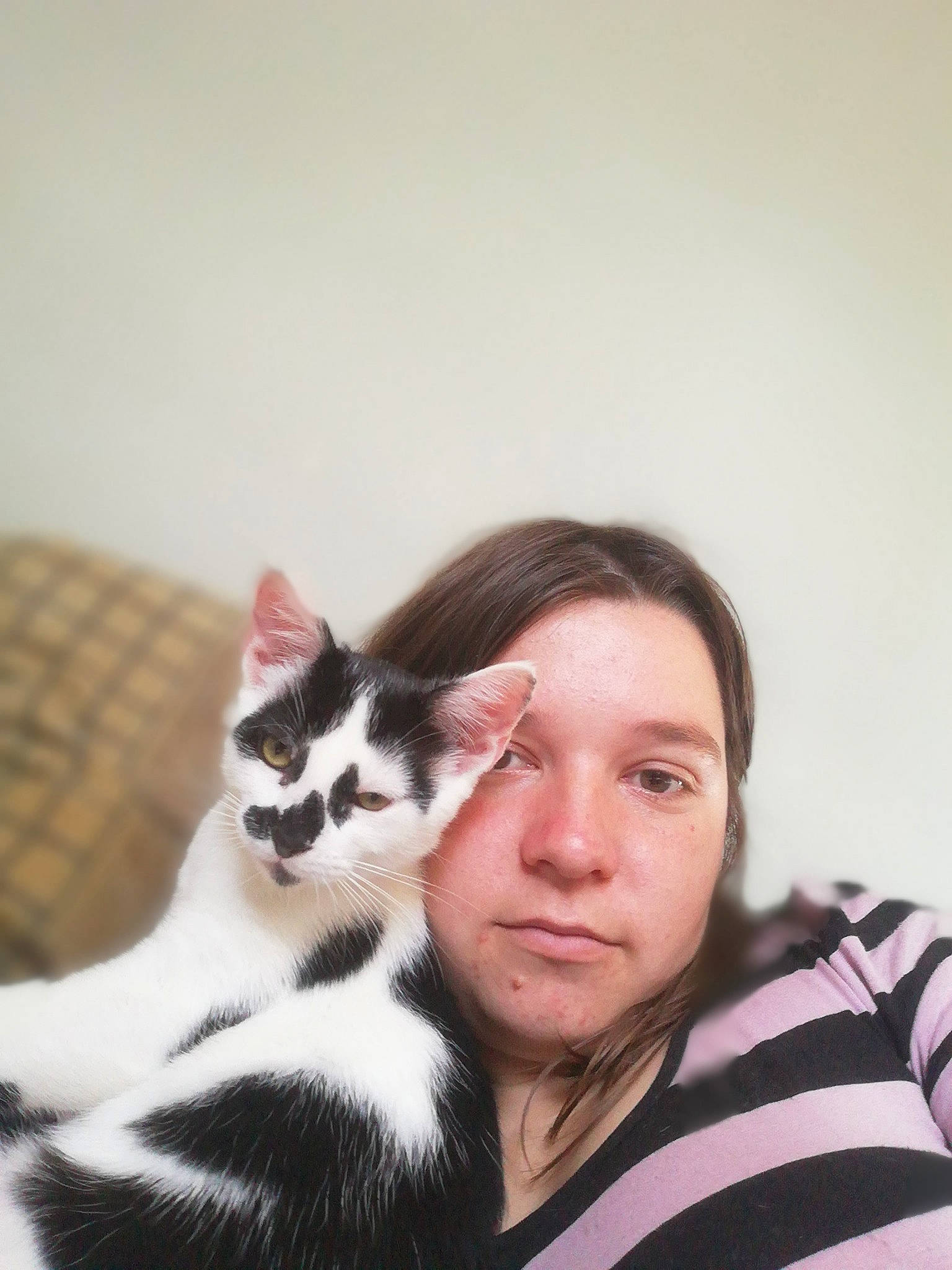 Felix Et Tokyo participe au concours pour gagner de l'argent avec cette photo : black_hair, carnivore, cat, ear, felidae, fur, nose, photography, small_to_medium_sized_cats, whiskers