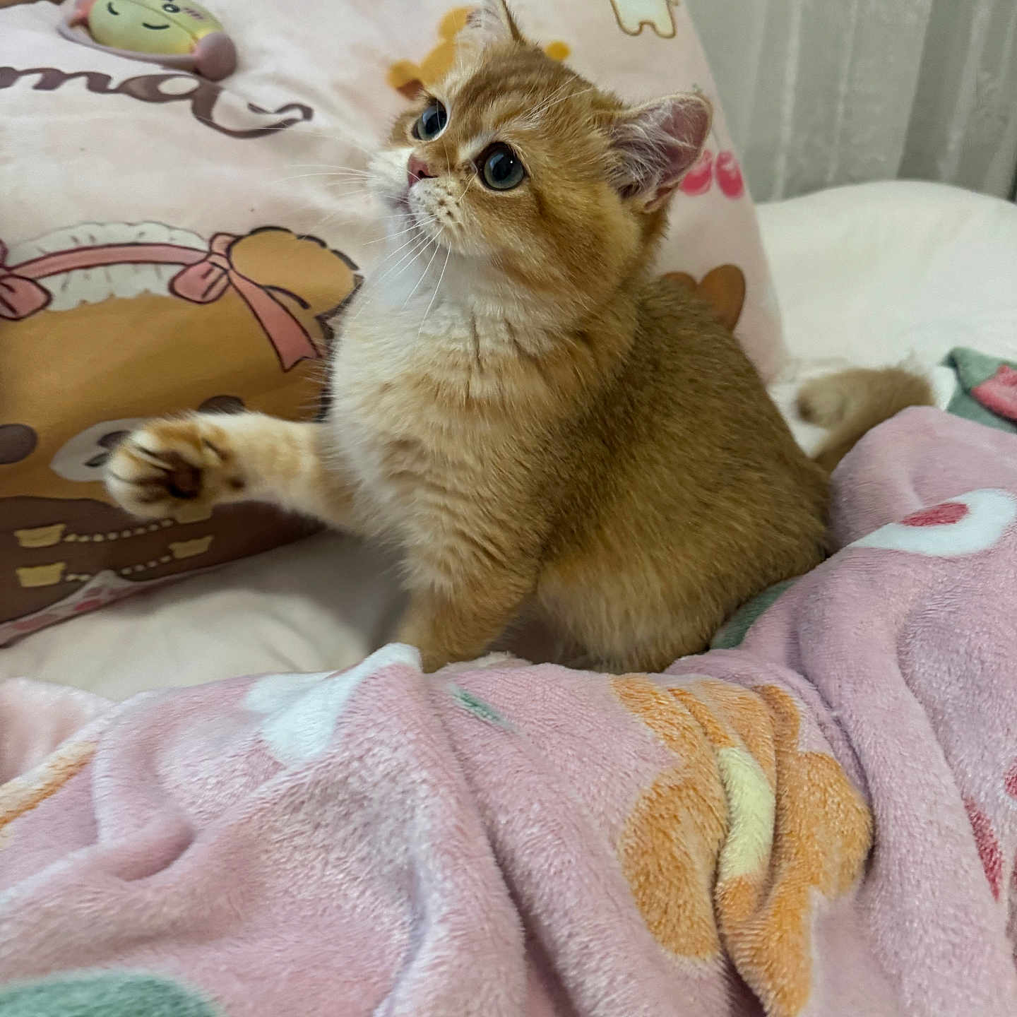 Haru