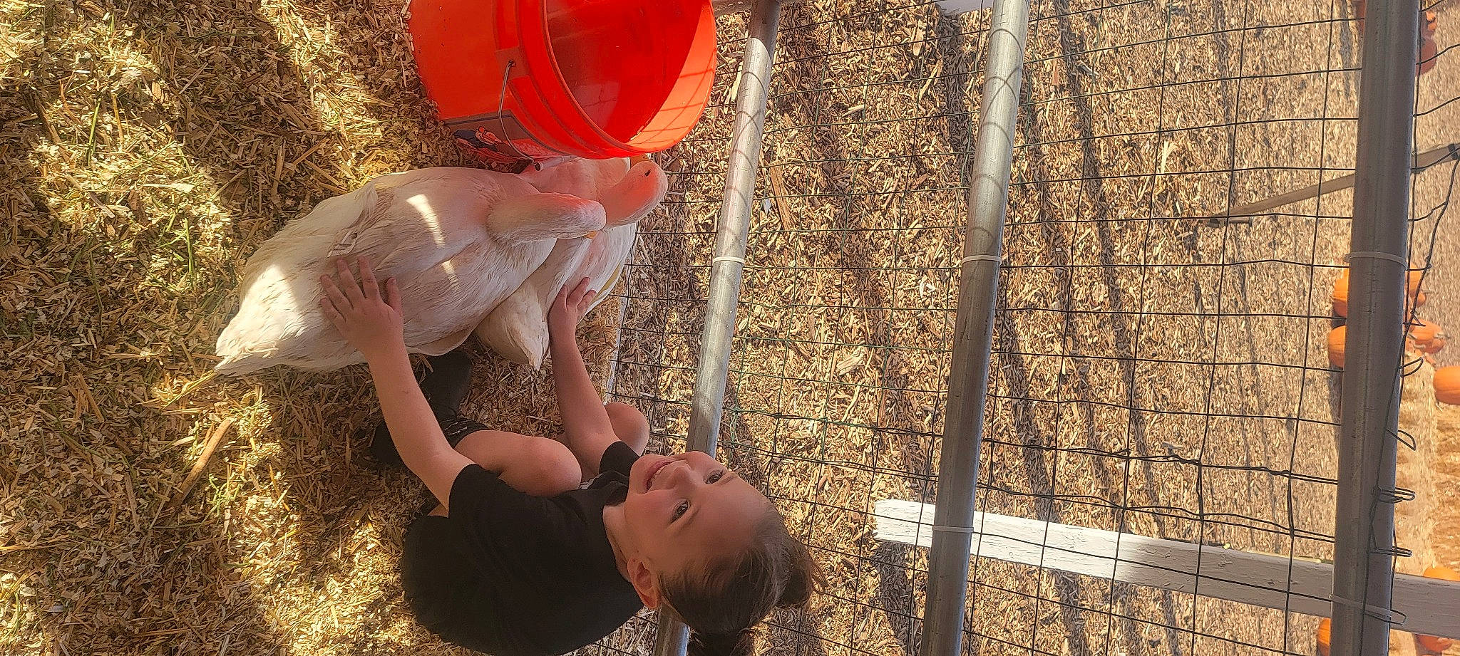 Abby joined the competition — help win amazing prizes! chain_link_fencing, child, coquelicot, flesh, foot, fun, grass, happy, human_leg, joy, leisure, mesh, net, people_in_nature, person, play, recreation, shadow, soil, thigh