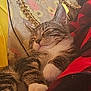 cat, tabby, sleeping, paw, blanket, red, black, checkered, handbag, coach, floral, gold_chain, fur, whiskers, closed_eyes, cute, pet, indoor, relaxing, cozy