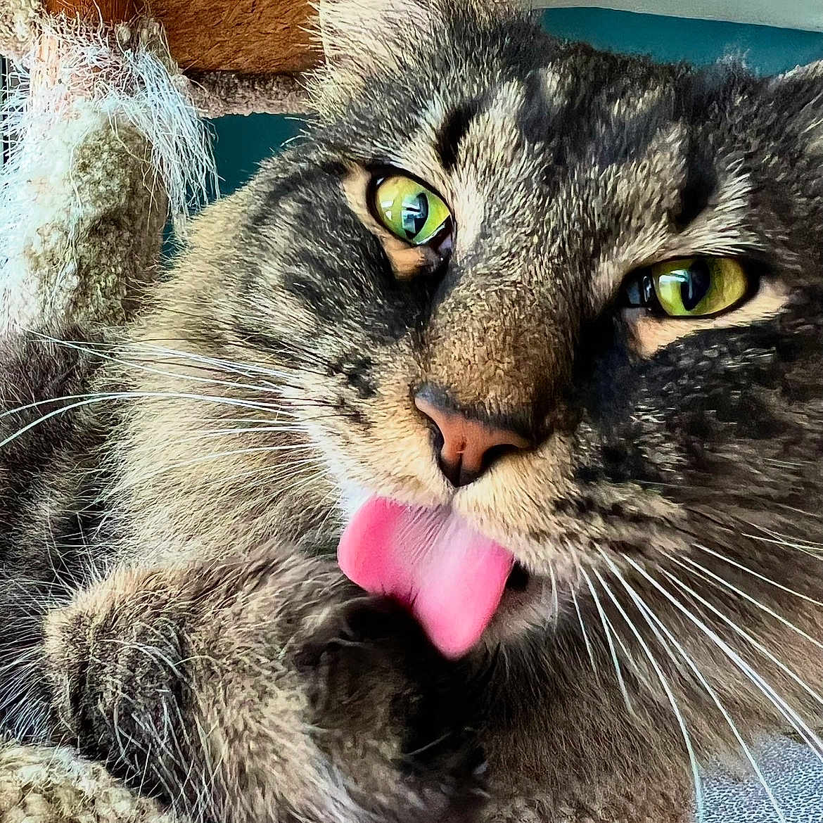 Prince Kevin Bacon Mcbride