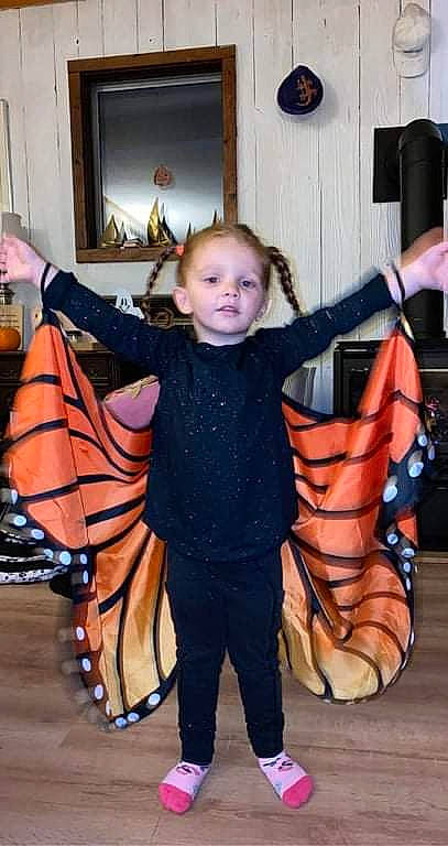 Braelyn joined the competition — help win amazing prizes! beauty, butterfly, child, cool, costume, event, eye, fashion, fashion_design, fun, head, mammal, outerwear, pattern, people, person, picture_frame, sleeve, textile, toddler
