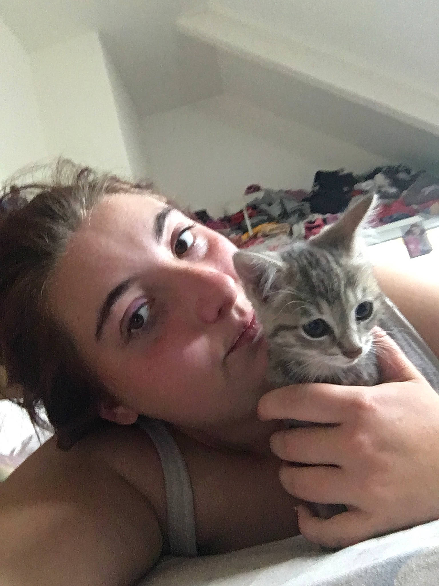 Phoenix participe au concours pour gagner de l'argent avec cette photo : american_shorthair, asian, carnivore, cat, domestic_short_haired_cat, dragon_li, ear, european_shorthair, eye, felidae, kitten, nose, selfie, skin, small_to_medium_sized_cats, tabby_cat, whiskers