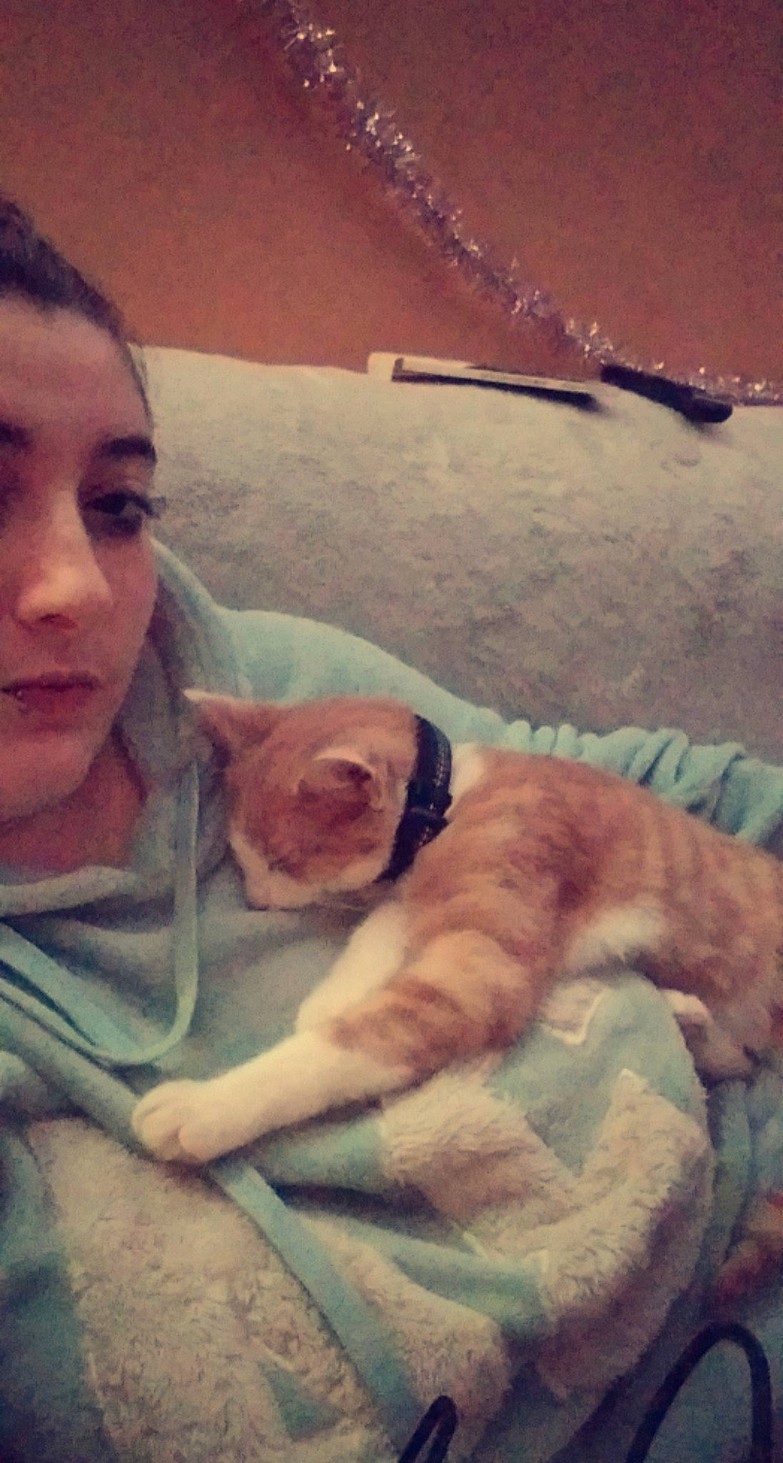 Trésor a rejoint le concours — aidez-le/la à gagner de superbes lots ! canidae, carnivore, cat, cloud, comfort, companion_dog, dog_breed, eye, fawn, felidae, fur, happy, paw, selfie, sky, small_to_medium_sized_cats, snout, sporting_group, tail, whiskers