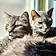 Indy And Adele