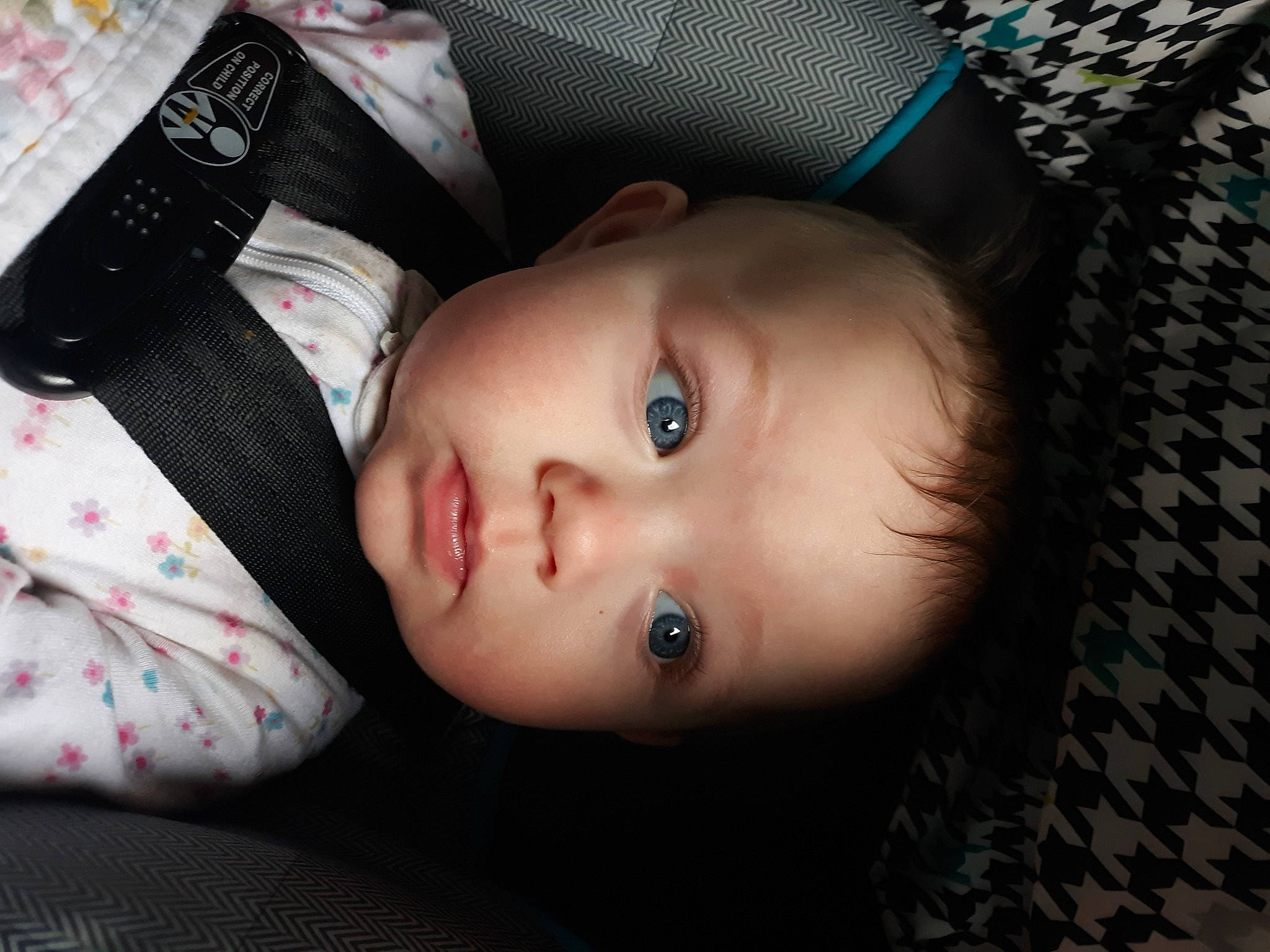 Darla is registered to the contest to win money with this photo: baby, beauty, black_hair, cheek, child, ear, eye, eyebrow, eyelash, face, head, iris, lip, mouth, nose, person, photography, portrait_photography, skin, toddler