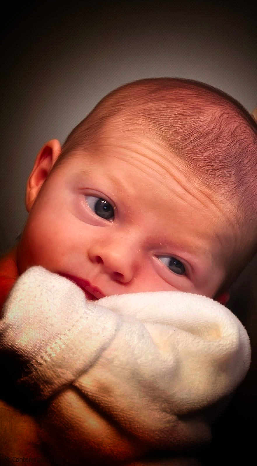 Giulia participe au concours pour gagner de l'argent avec cette photo : baby, infant, face, portrait, close_up, blanket, soft_texture, skin, head, eyes, newborn, cute, child, expression, warm, cozy, sleepwear, young, human, indoor