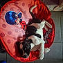 puppy, dog, black_and_white, cushion, red, polka_dots, cartoon_character, blue_hair, mask, floor_tiles, indoor, pet, lying_down, cute, animal, playful, resting, young_dog, fabric, home