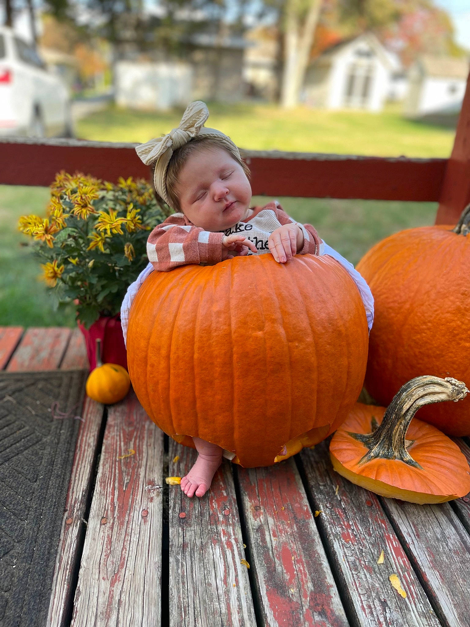 Hadley is registered to the contest to win money with this photo: calabaza, cucurbita, facial_expression, flower, gourd, grass, happy, local_food, natural_foods, orange, person, plant, produce, pumpkin, smile, squash, toddler, vegetable, whole_food, winter_squash