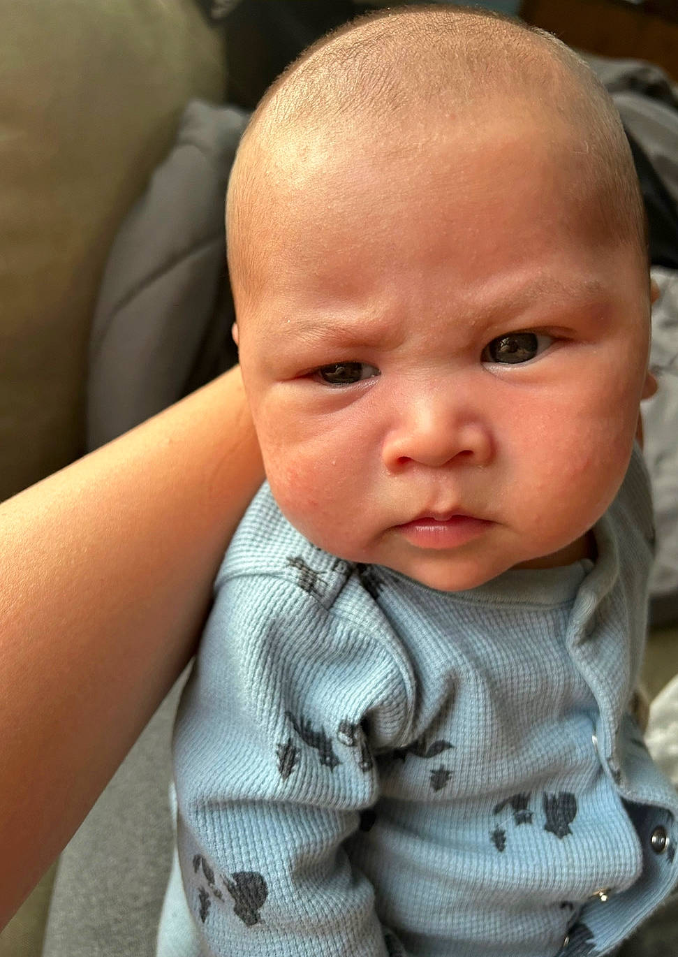 Atticus joined the competition — help win amazing prizes! baby, baby_toddler_clothing, cheek, chest, child, chin, collar, comfort, eyebrow, eyelash, iris, lip, mouth, neck, nose, pattern, person, sitting, skin, sleeve