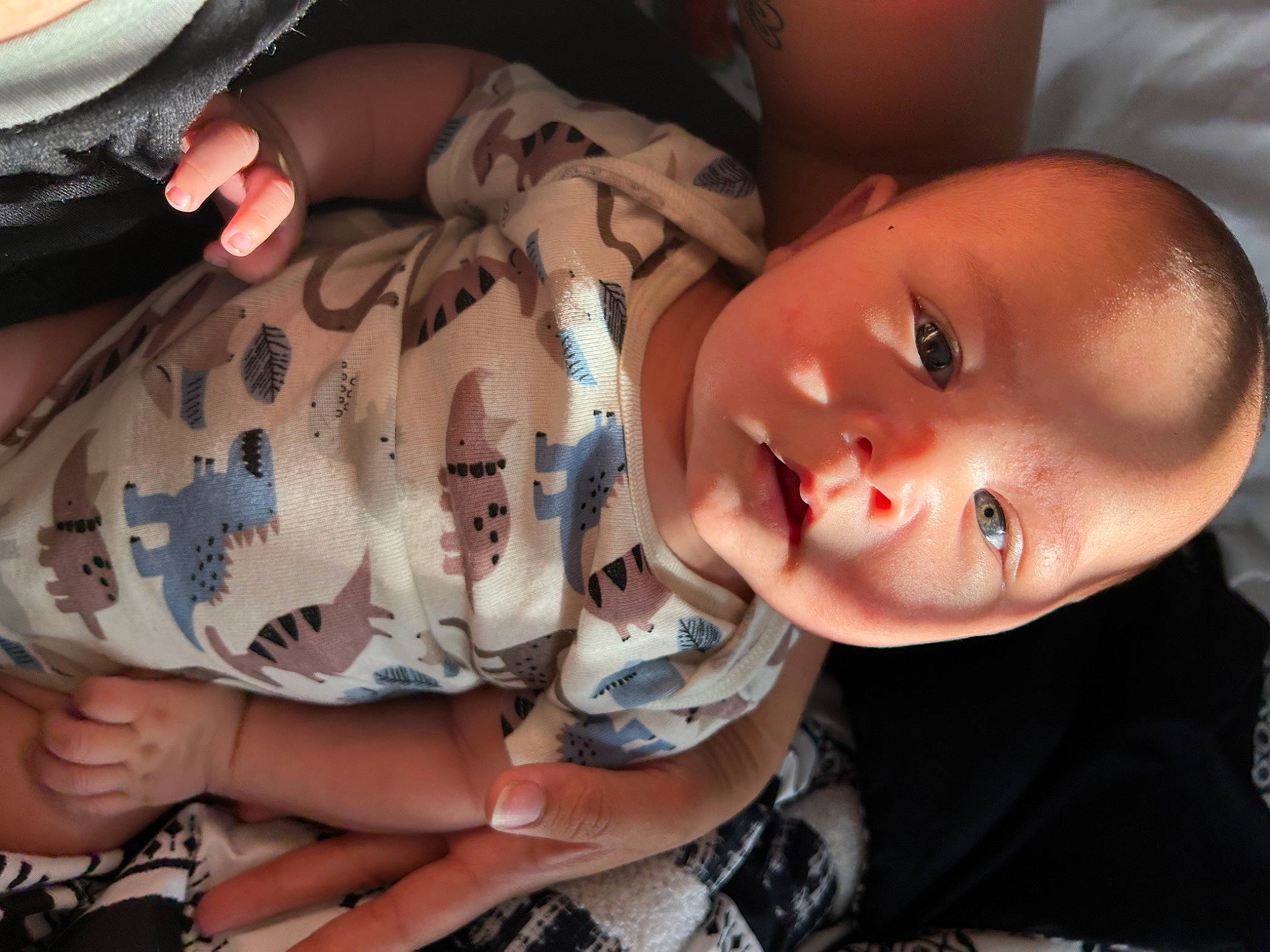 Atticus joined the competition — help win amazing prizes! cheek, chin, ear, eye, eyebrow, eyelash, facial_expression, forehead, hair, hairstyle, hand, human, human_body, iris, lip, mouth, neck, nose, person, skin