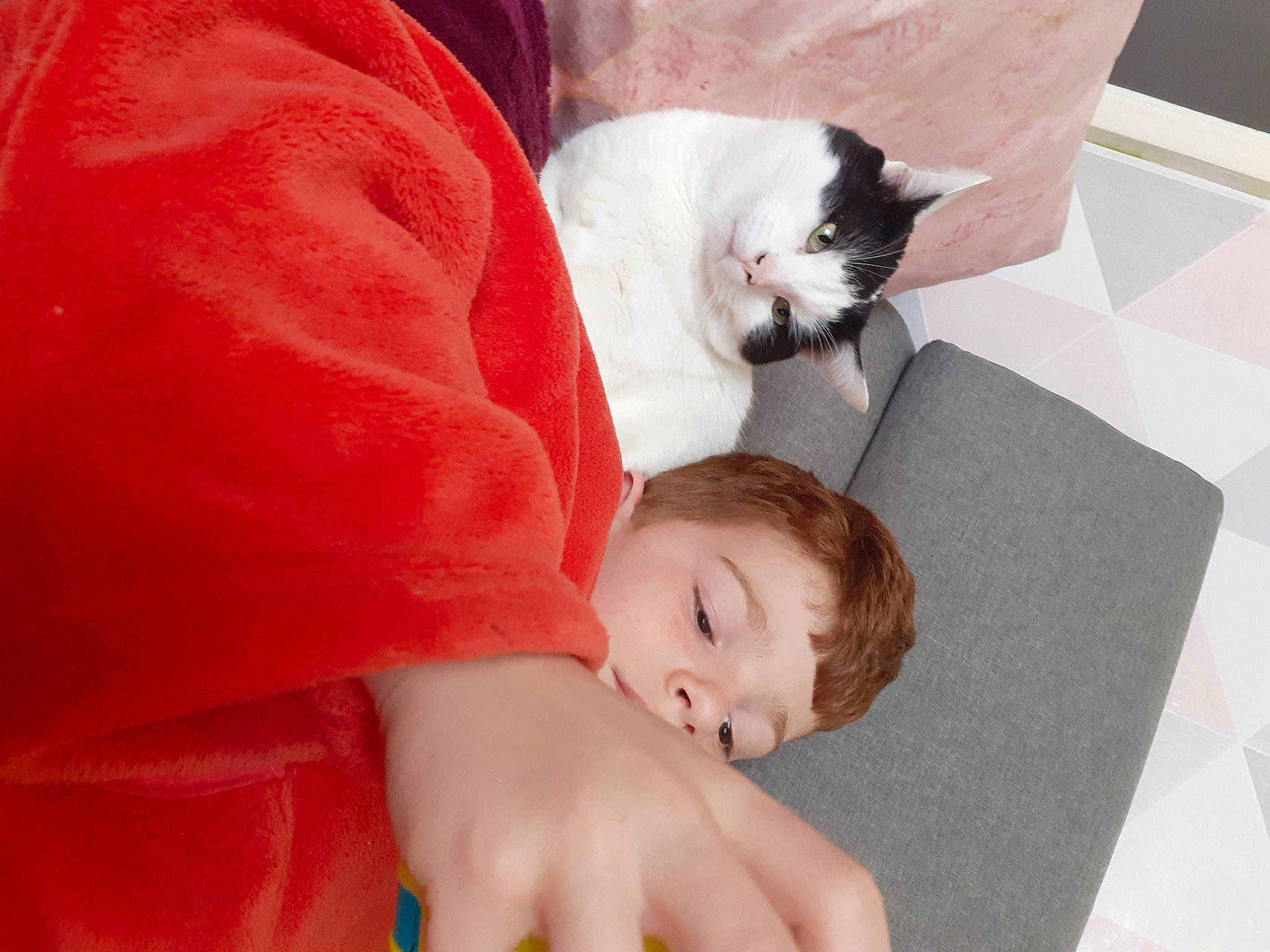 Cachous a rejoint le concours — aidez-le/la à gagner de superbes lots ! baby, carnivore, cat, child, comfort, companion_dog, couch, eye, facial_expression, felidae, flooring, fur, gesture, happy, linens, mammal, skin, tail, toddler, whiskers