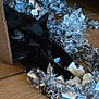 animal, black_cat, cardboard_box, cat, cozy, feline, floor, holiday_decor, indoor, pet, playful, relaxed, resting, shiny, silver_tinsel, sleeping, tinsel, whiskers, white_paws, wood_floor