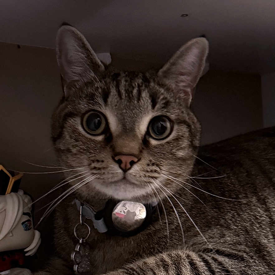 Pablo
