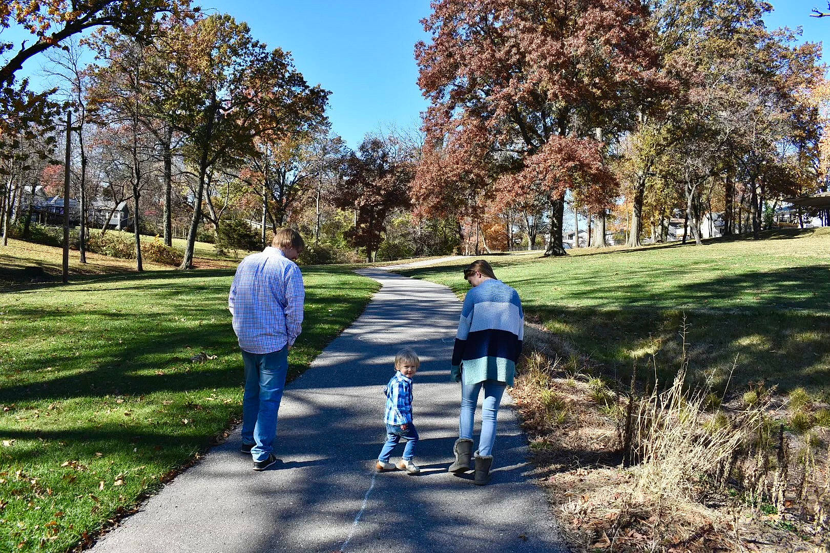 Hayden joined the competition — help win amazing prizes! baby, botany, branch, gesture, grass, grassland, jeans, landscape, leaf, leisure, natural_landscape, people_in_nature, person, plant, recreation, road, sky, sunlight, toddler, tree